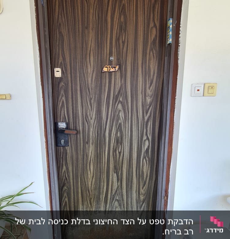 דלת עץ עם ציפוי דמוי עץ, ידית שחורה